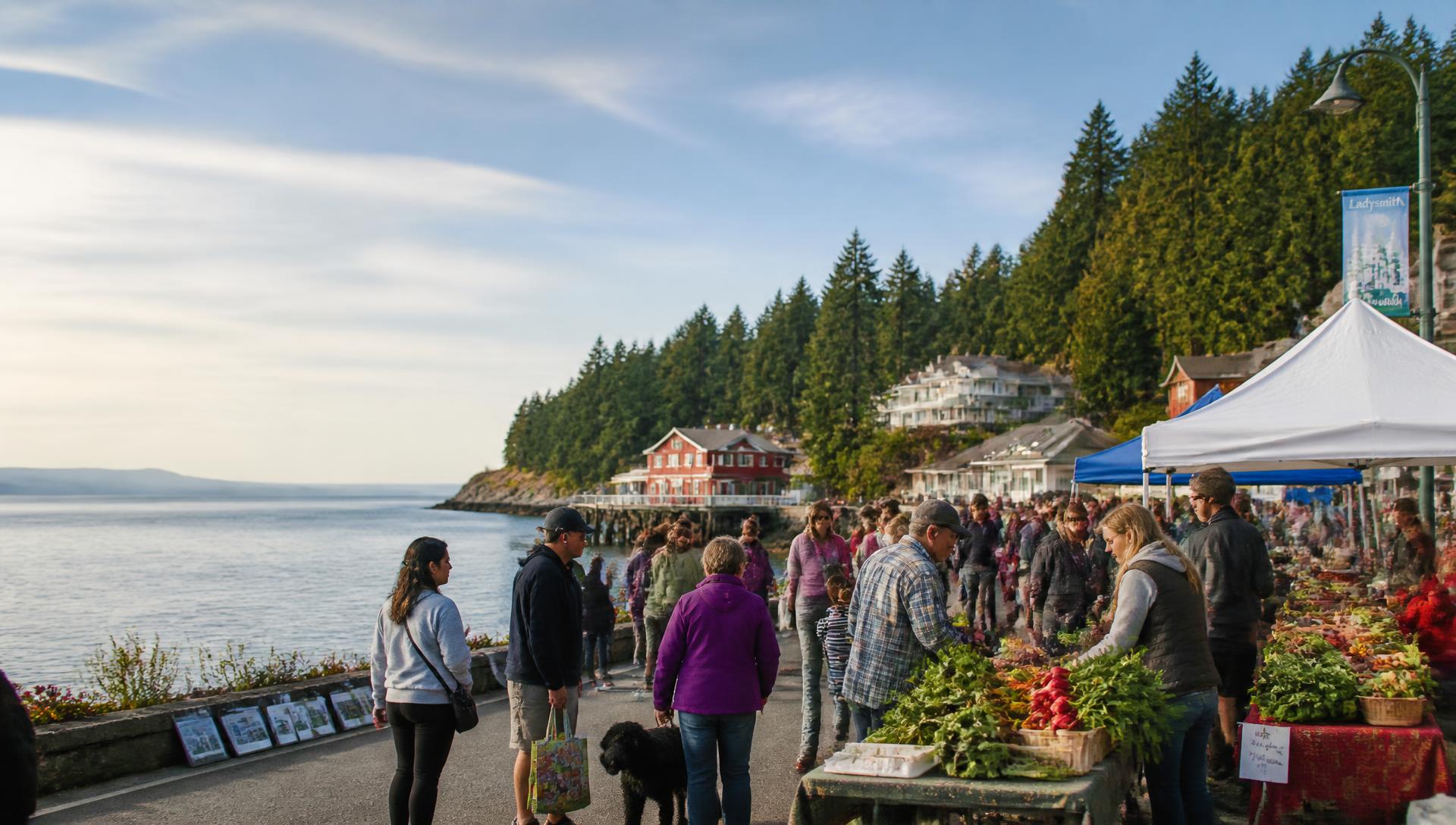 Neighbours gathering at a waterfront community market on Vancouver Island